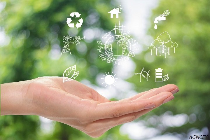 Sustainable Practices in Business